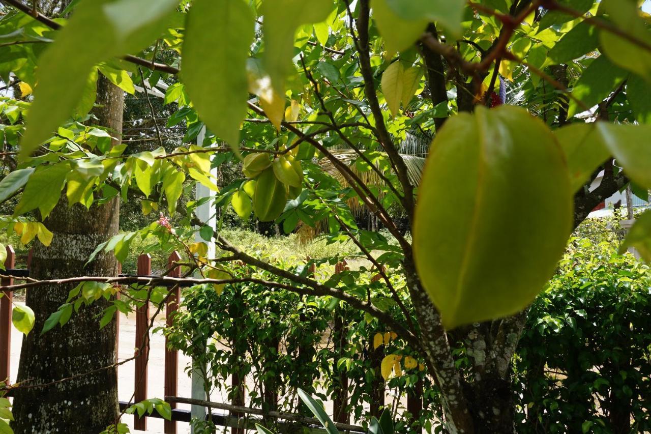 Phu Quoc Hotel Bagian luar foto